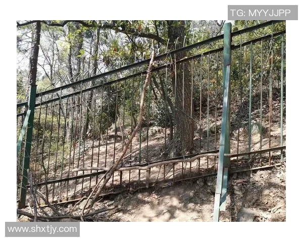 南京攀岩队防守革新之路探索与实践的深度剖析与启示