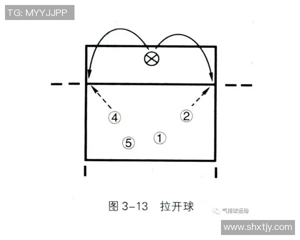 重庆排球队战术解析与对比深度剖析球队优势与不足之处